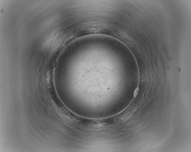 X0000076300646200609291037