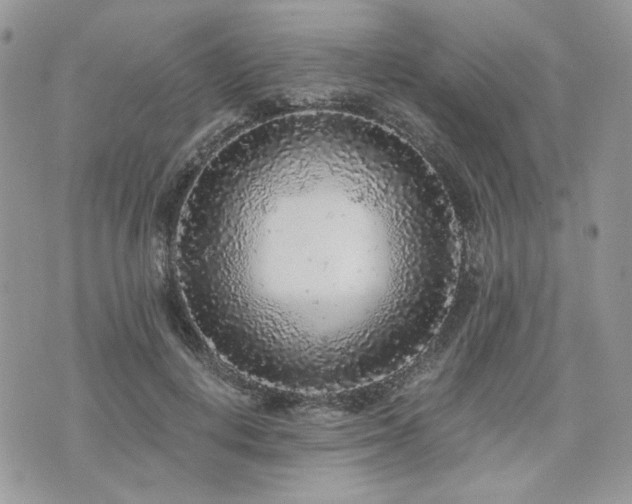 X0000076300648200609291037