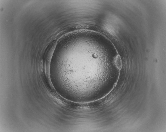 X0000076300649200609291037