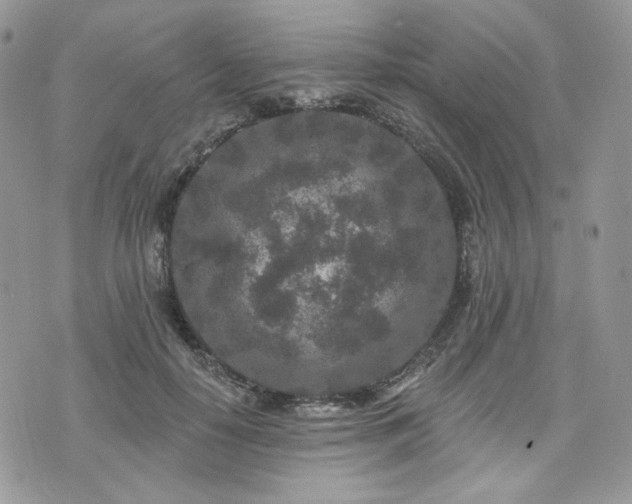 X0000076300650200609291037