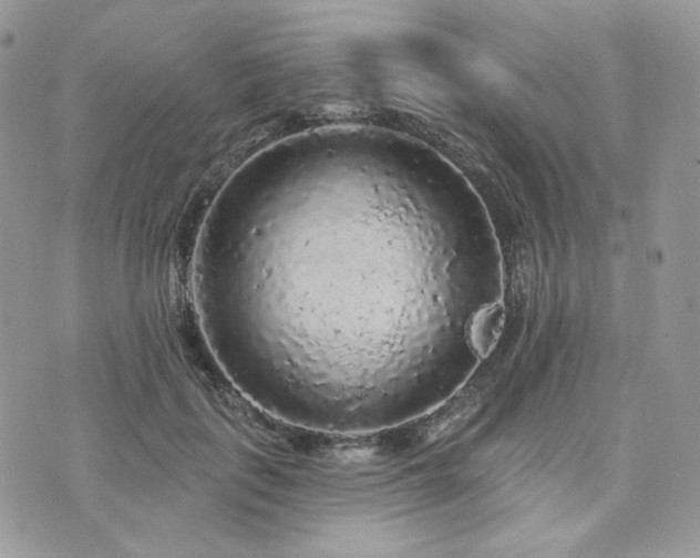 X0000076300651200609291037