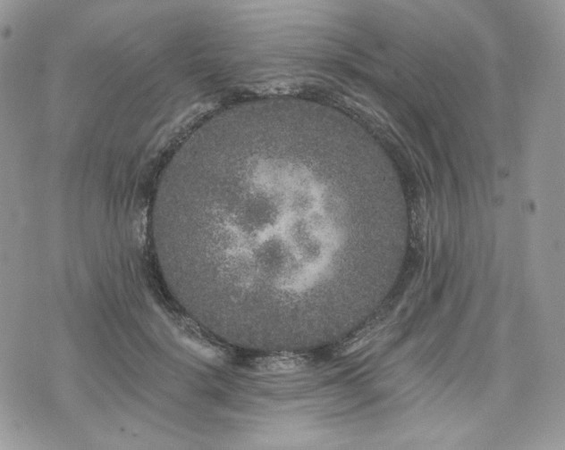 X0000076300652200609291037