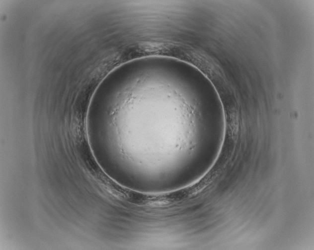 X0000076300653200609291037