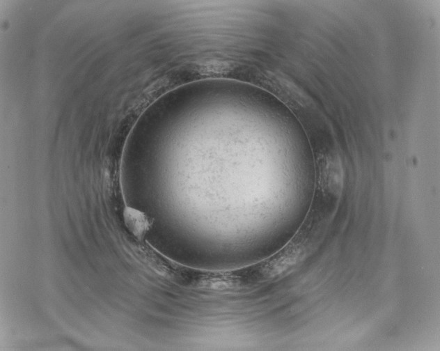 X0000076300655200609291037