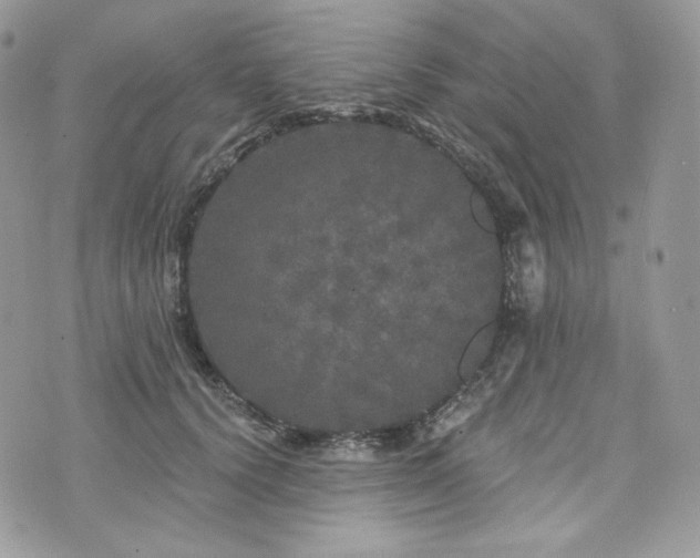 X0000076300656200609291037