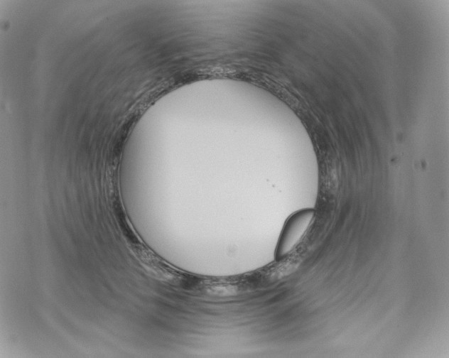 X0000076300658200609291037