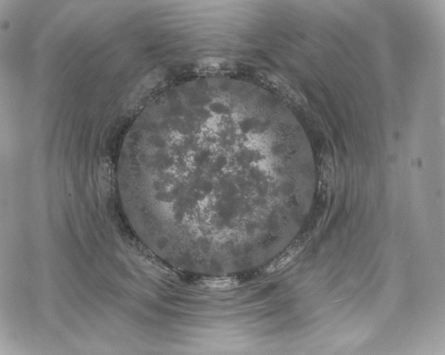 X0000076300659200609291037