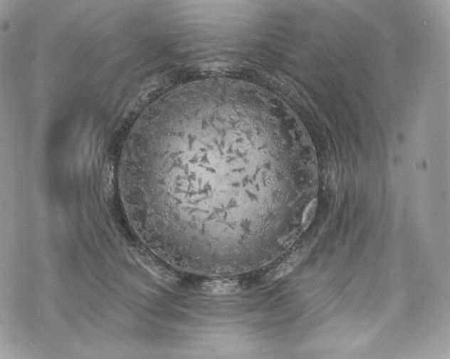 X0000076300660200609291037