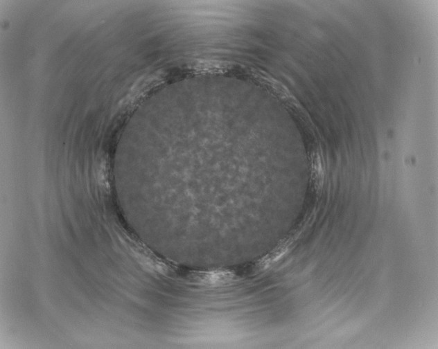 X0000076300663200609291037