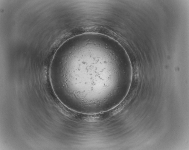 X0000076300664200609291037