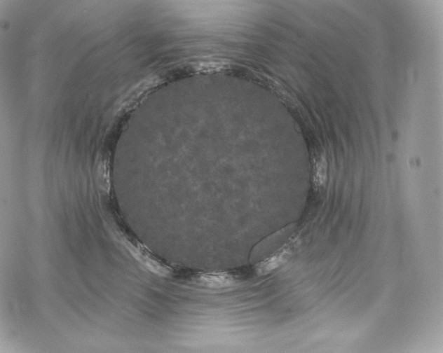 X0000076300666200609291037