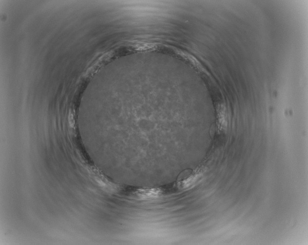 X0000076300667200609291037