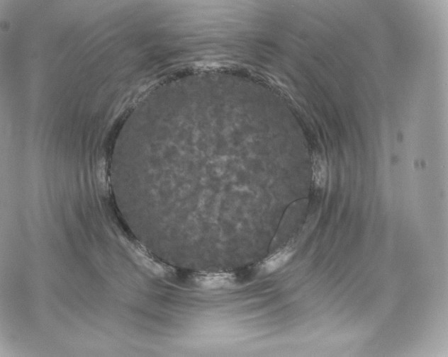 X0000076300670200609291037