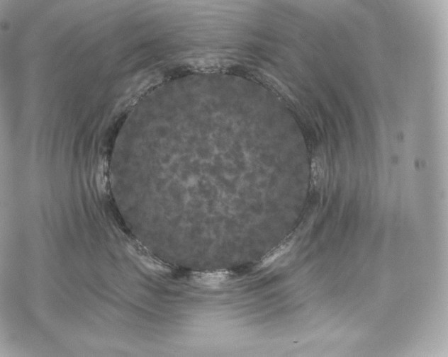 X0000076300671200609291037