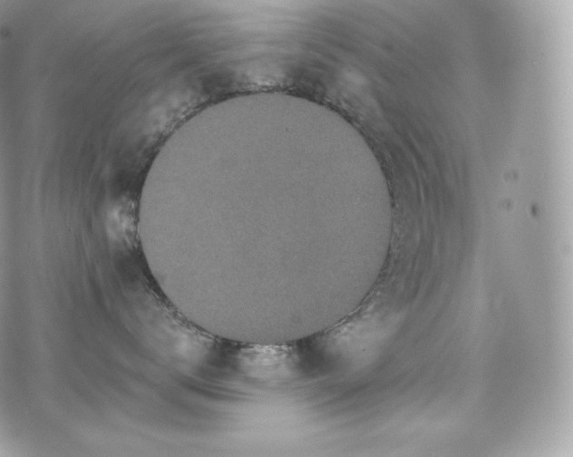 X0000076300672200609291037