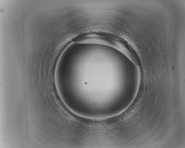 X0000076300673200609291036