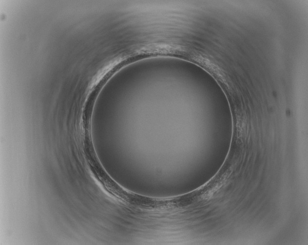 X0000076300674200609291036