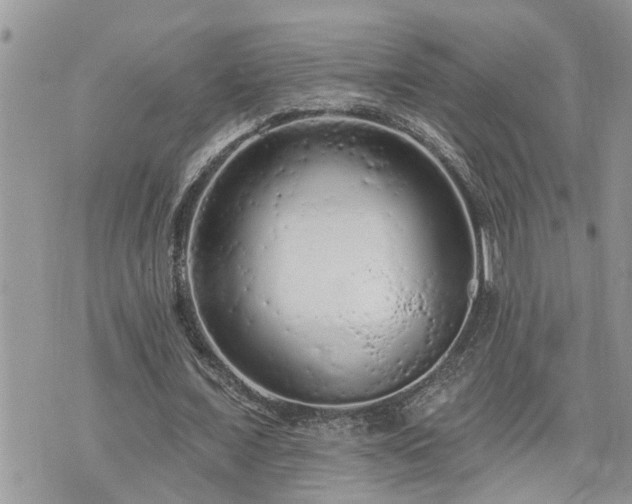 X0000076300675200609291036