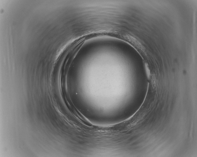 X0000076300676200609291036