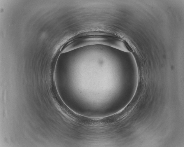 X0000076300677200609291036