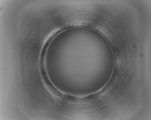 X0000076300678200609291036