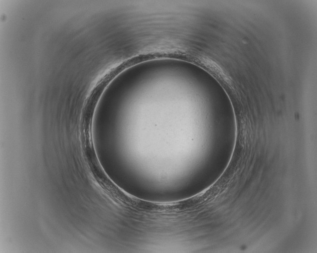 X0000076300680200609291036