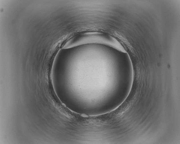 X0000076300681200609291036