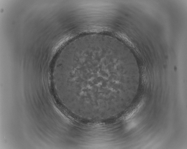 X0000076300683200609291036