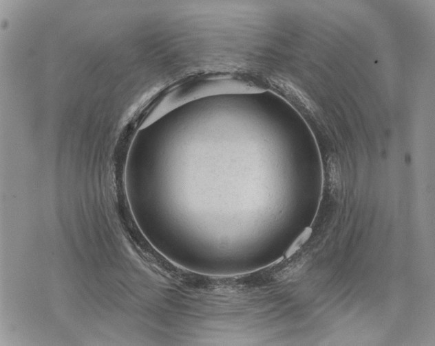 X0000076300684200609291036