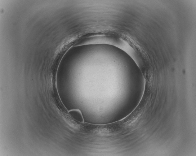 X0000076300685200609291036