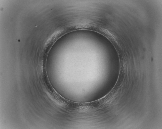 X0000076300686200609291036