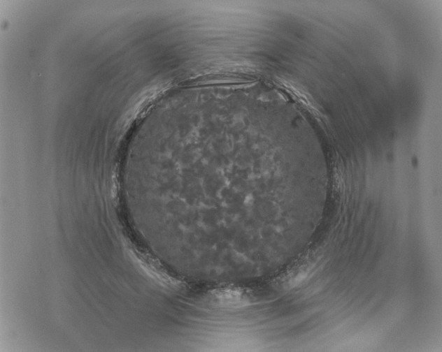 X0000076300687200609291036