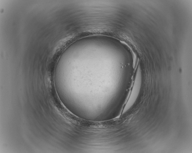 X0000076300688200609291036