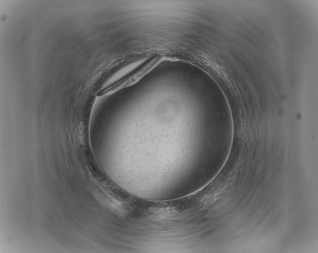 X0000076300689200609291036