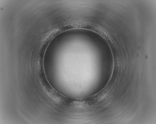 X0000076300690200609291036