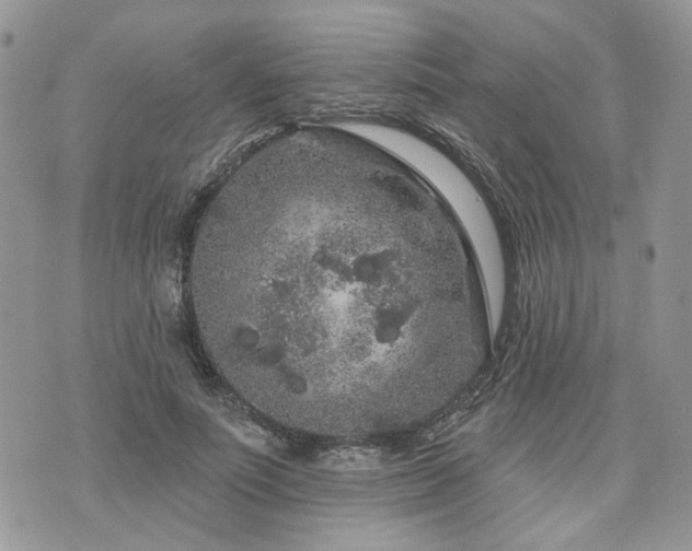 X0000076300691200609291036