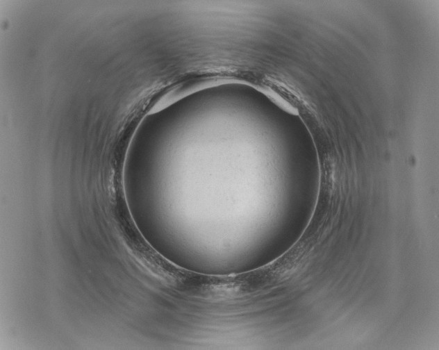 X0000076300692200609291036