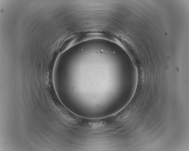 X0000076300693200609291036