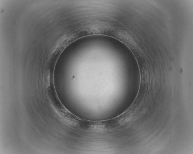 X0000076300694200609291036