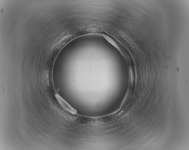 X0000076300696200609291036