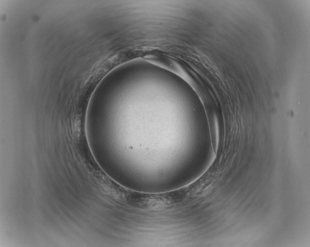 X0000076300697200609291036