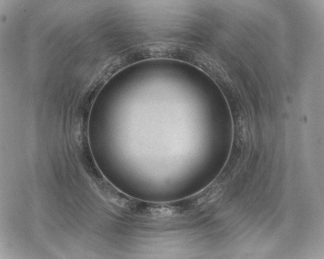 X0000076300698200609291036