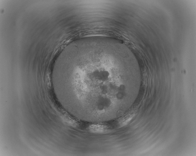 X0000076300699200609291036