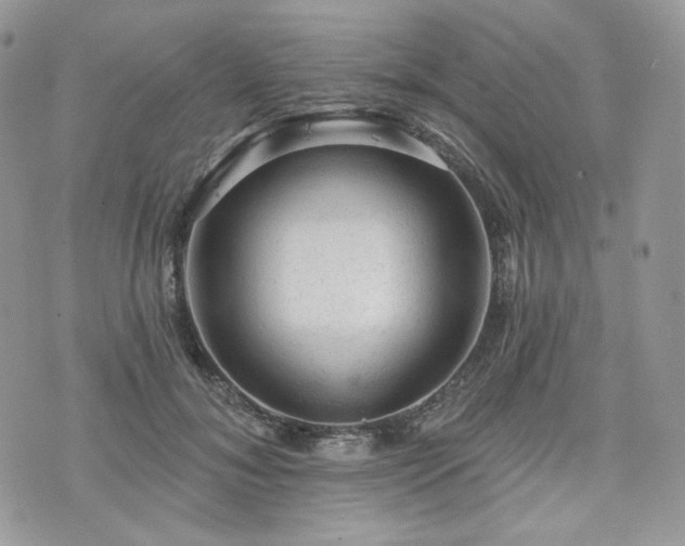 X0000076300700200609291036