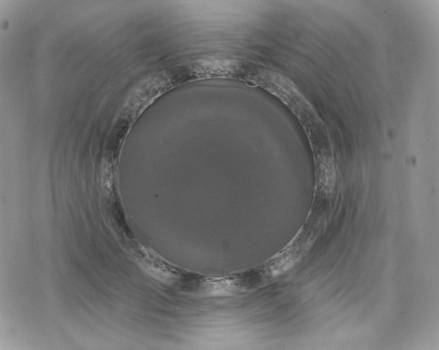 X0000076300701200609291036