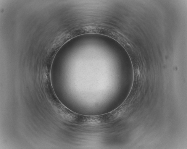 X0000076300702200609291036