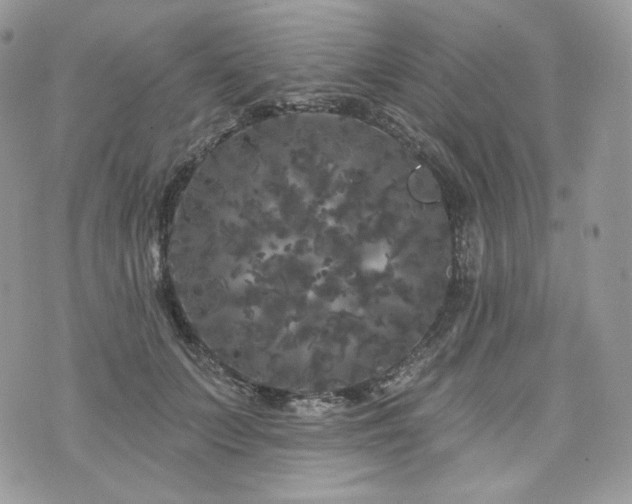 X0000076300703200609291036