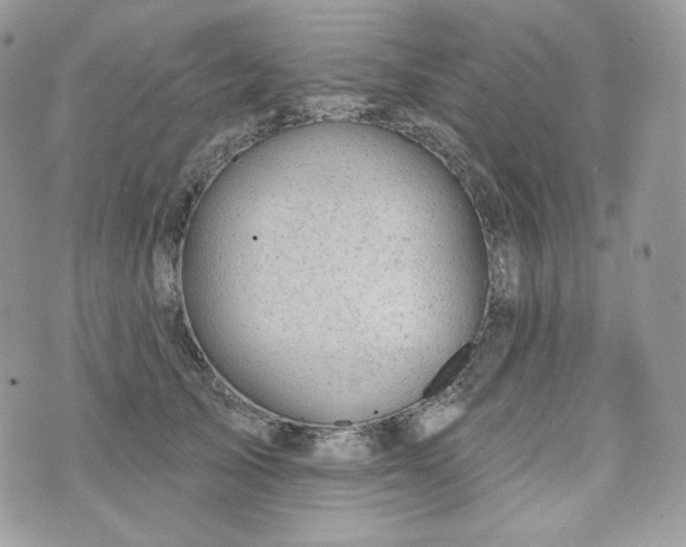 X0000076300705200609291036