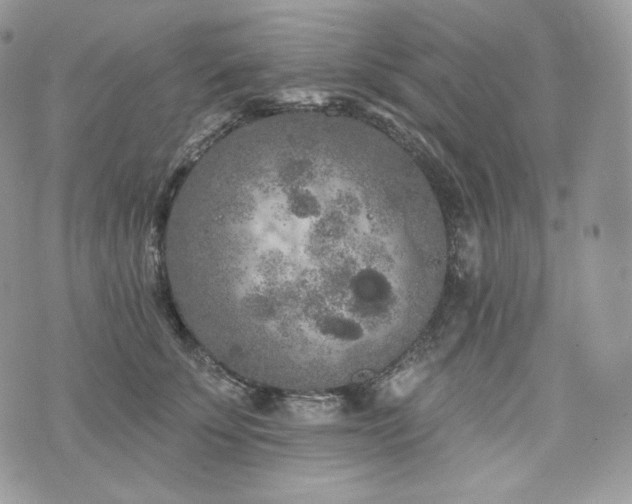 X0000076300707200609291036