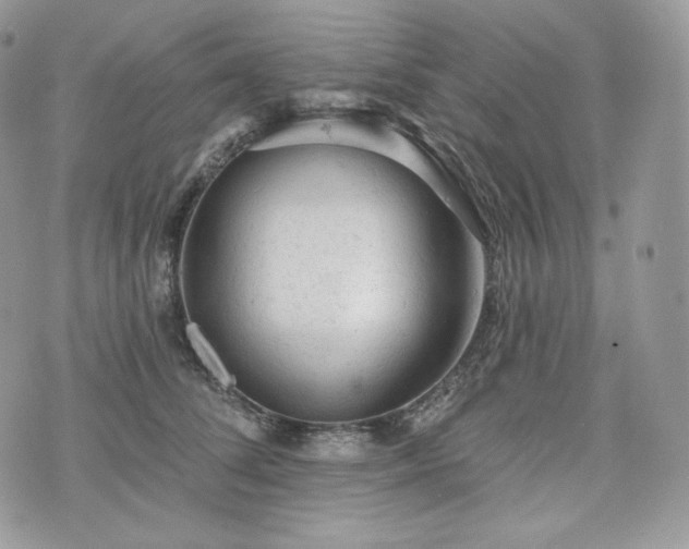 X0000076300708200609291036